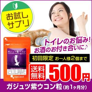 ガジュツ紫ウコン(うこん)粒 サプリメント 約1ヶ月分...