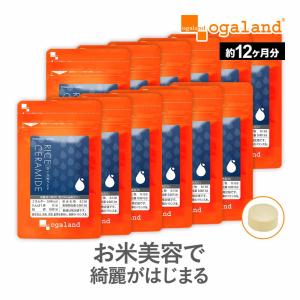 ライスセラミド （約12ヶ月分） エイジングケア サプリ 30代 40代 50代 女性 の 本気 の悩みに コラーゲン ペプチド シルク 送料無料 一年分 米 抽出 美容｜oga