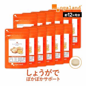 しょうが サプリ （約12ヶ月分） 燃焼系 ダイエット ブラックペッパー サンザシ 梅肉 エキス サプリ サプリメント 生姜 ショウガオール クエン酸 カルシウムの商品画像