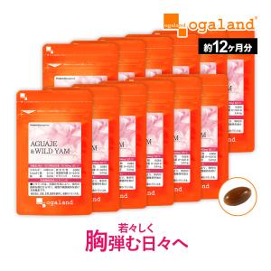 DHC 濃縮プエラリアミリフィカ 30日分 90粒 2袋セット サプリメント