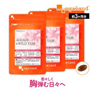 AGUAJE ＆ WILD YAM （約3ヶ月分） サプリ アグアヘエキス ワイルドヤム エラスチン ザクロ種子エキス末 プラセンタ イソフラボン ビタミンE サプリメント｜oga