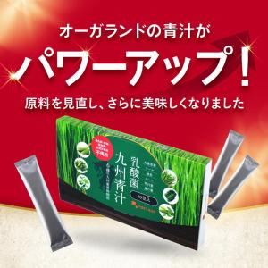 乳酸菌九州青汁(30包) 青汁 乳酸菌 国産 ...の詳細画像2