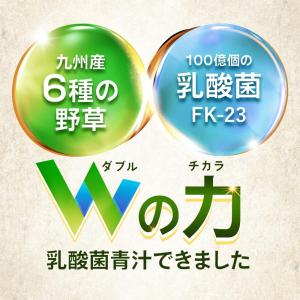 乳酸菌九州青汁(30包) 青汁 乳酸菌 国産 ...の詳細画像3