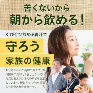 乳酸菌九州青汁(30包) 青汁 乳酸菌 国産 ...の詳細画像5
