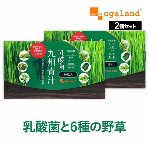 乳酸菌九州青汁（30包） 2個セット 国産 青汁 乳酸菌 個包装 美味しい 大麦若葉 ケール ゴーヤ...