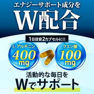 アルギニン サプリ 約3ヶ月分 シトルリン と...の詳細画像3