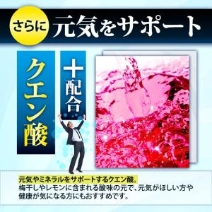 アルギニン サプリ 約3ヶ月分 シトルリン と...の詳細画像5