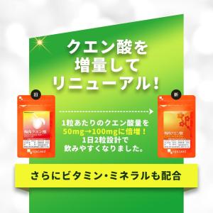 梅肉クエン酸 ビタミン&ミネラル 約3ヶ月分 ...の詳細画像3