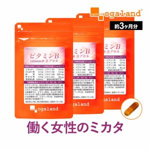 ビタミンBカプセル （約3ヶ月分）葉酸 美容 サプリ 栄養機能食品 ナイアシン サプリメント 皮膚 や 粘膜 の 健康 維持を助ける