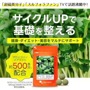 ブロッコリースプラウト (約3ヶ月分)サプリメ...の詳細画像1