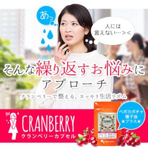 クランベリーカプセル 約3ヶ月分 クランベリー...の詳細画像3