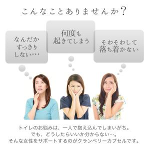 クランベリーカプセル 約3ヶ月分 クランベリー...の詳細画像4