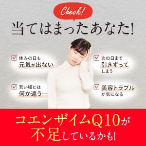 コエンザイムQ10 (約3ヶ月分)サプリメント...の詳細画像5