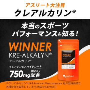 クレアチンモノハイドレート クレアルカリン (...の詳細画像3