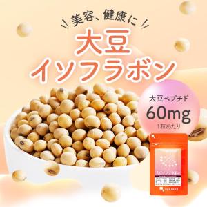 大豆イソフラボン (約3ヶ月分) サプリメント...の詳細画像1
