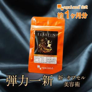 エラスチン （約1ヶ月分） サプリ コラーゲン 亜麻仁油 オリーブ油 サプリメント ビタミンA プラセンタ ヒアルロン酸 と一緒に エラスチンがとれる食品