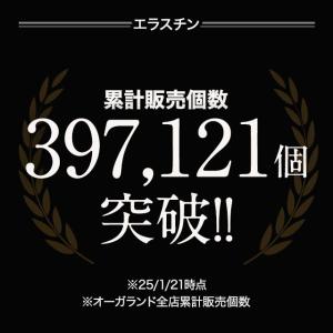 エラスチン (約1ヶ月分) サプリ コラーゲン...の詳細画像1