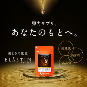 エラスチン(約3ヶ月分)サプリ コラーゲン 亜...の詳細画像3