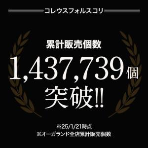 コレウスフォルスコリ (約1ヶ月分)ダイエット...の詳細画像1