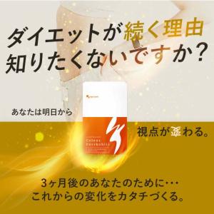 コレウスフォルスコリ (約1ヶ月分)ダイエット...の詳細画像4