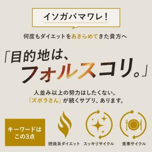 コレウスフォルスコリ (約1ヶ月分)ダイエット...の詳細画像3