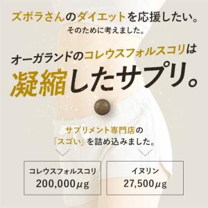 コレウスフォルスコリ (約1ヶ月分)ダイエット...の詳細画像5