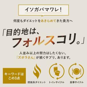 コレウスフォルスコリ (約3ヶ月分) ダイエッ...の詳細画像3