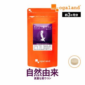 ガジュツ紫ウコン （約3ヶ月分） 賞味期限最短2024年6月末まで