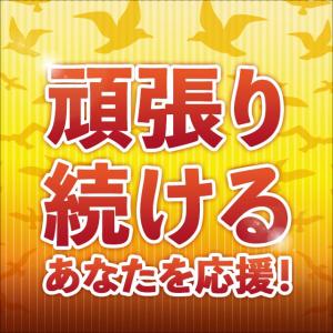 イミダゾールジペプチド (約1ヶ月分) イミダ...の詳細画像3