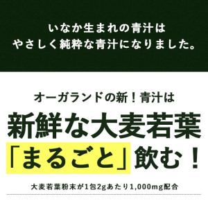 訳あり販売中 青汁のまんね (20包)賞味期限...の詳細画像2
