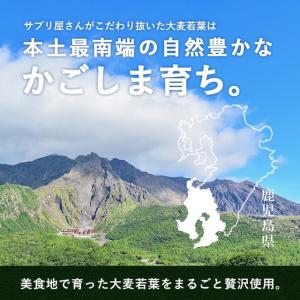 訳あり販売中 青汁のまんね (20包)賞味期限...の詳細画像4