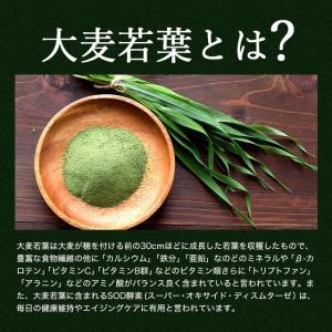 訳あり販売中 青汁のまんね (20包)賞味期限...の詳細画像5