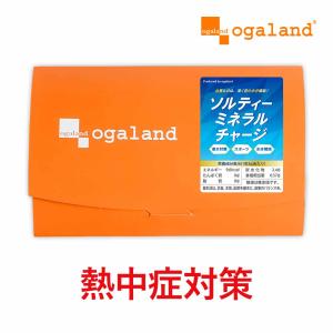 経口補水液 （20包） 熱中症 対策 個包装 500ml ペットボトル 20本分 スポーツ 水分補給 トレーニング クエン酸 パウダー 粉末 食塩 ブドウ糖 人工甘味料 不使用