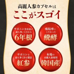 高麗人参カプセル (約3ヶ月分) 必須 アミノ...の詳細画像5