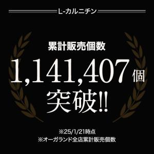 L-カルニチン(約3ヶ月分)ダイエット アミノ...の詳細画像1