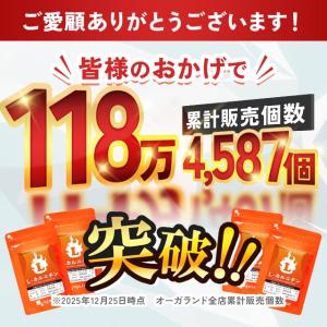 L-カルニチン(約3ヶ月分)ダイエット アミノ...の詳細画像3