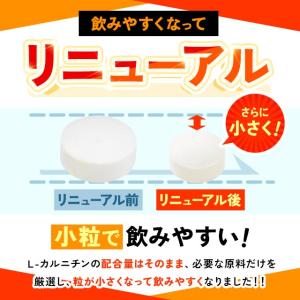 L-カルニチン(約3ヶ月分)ダイエット アミノ...の詳細画像5
