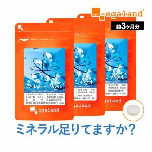 マルチミネラル （約3ヶ月分） ミネラル ヨウ素 サプリ 亜鉛 サプリメント カルシウム 鉄 マグネシウム エイジングケア 必須ミネラル 美容 健康 ビタミンD 海藻｜オーガランド Yahoo!店