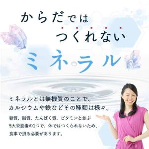 マルチミネラル サプリ 約3ヶ月分 ヨウ素 必...の詳細画像4