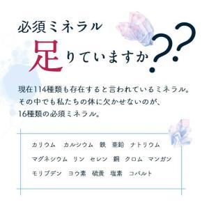 マルチミネラル サプリ 約3ヶ月分 ヨウ素 必...の詳細画像5