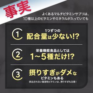 マルチビタミン (約1ヶ月分) サプリメント ...の詳細画像5