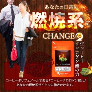 生コーヒークロロゲン酸 (約3ヶ月分) ダイエ...の詳細画像1