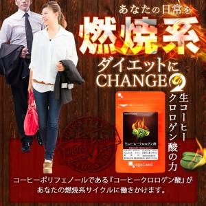 生コーヒークロロゲン酸 (約3ヶ月分) ダイエ...の詳細画像3