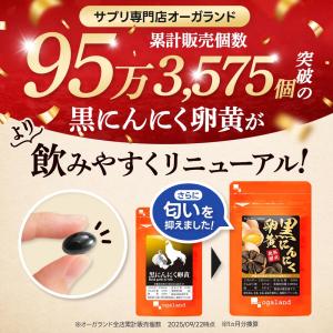 黒にんにく卵黄 (約3ヶ月分) サプリ 元気 ...の詳細画像2