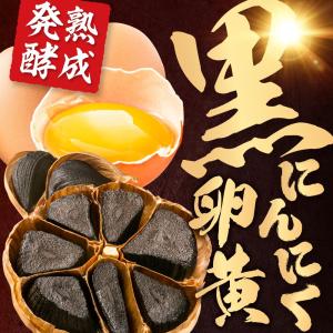 黒にんにく卵黄 (約3ヶ月分) サプリ 元気 ...の詳細画像4