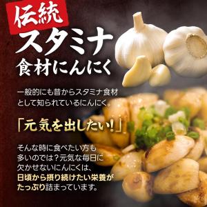 黒にんにく卵黄 (約3ヶ月分) サプリ 元気 ...の詳細画像5