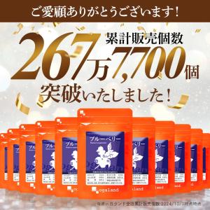 ブルーベリー (約3ヶ月分) サプリ ポリフェ...の詳細画像1