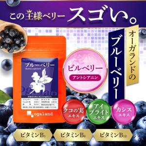 ブルーベリー (約3ヶ月分) サプリ ポリフェ...の詳細画像3