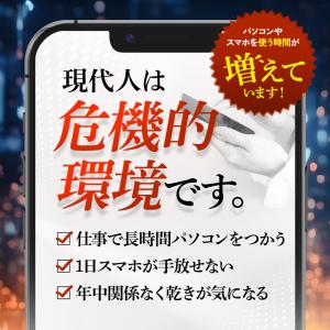ブルーベリー (約3ヶ月分) サプリ ポリフェ...の詳細画像4
