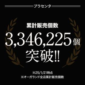 プラセンタ (約1ヶ月分) 美容 コラーゲン ...の詳細画像1
